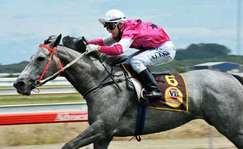 Apprentice jockey Anthony Allen steers Dundigin home for an easy win. Apprentice jockey Anthony Allen steers Dundigin home for an easy win.